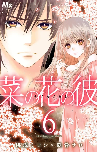 Cover of Vol. 6