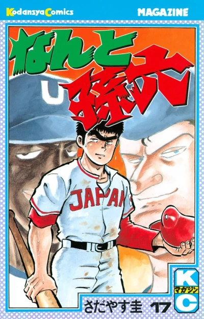 Cover of Vol. 17