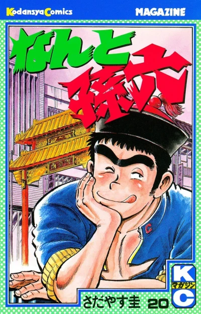 Cover of Vol. 20