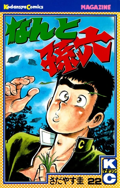 Cover of Vol. 22