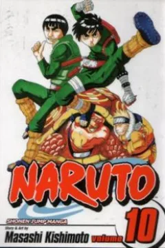 A Splendid Ninja