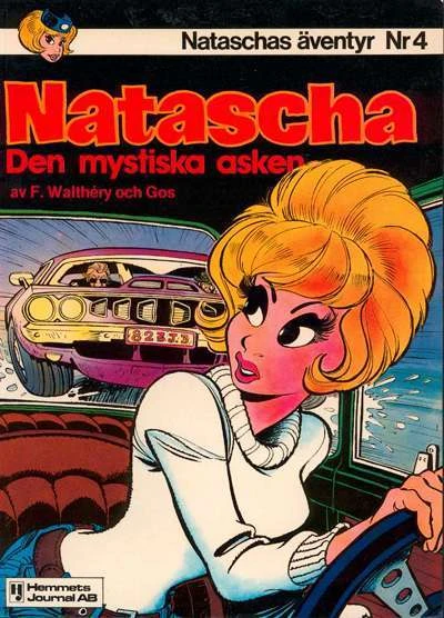 Cover of Den mystiska asken