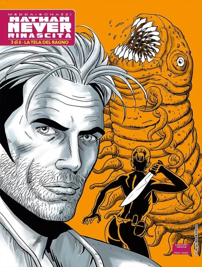 Cover of La tela del ragno