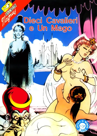 Cover of Dieci cavalieri e un mago