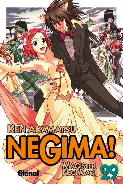 Cover of Vol. 29