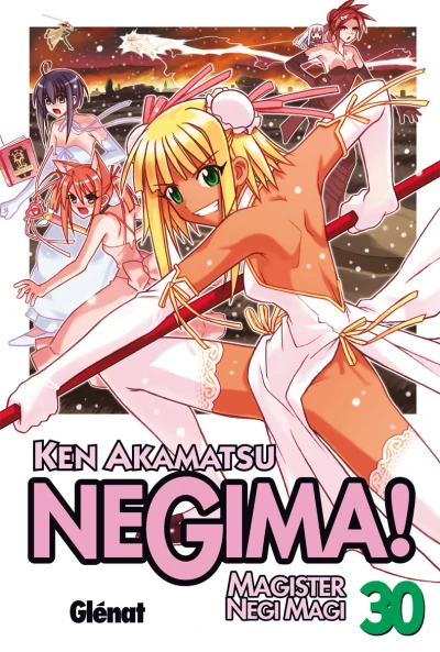 Cover of Vol. 30