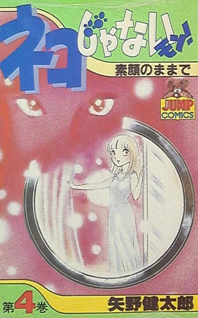 Cover of Vol. 4