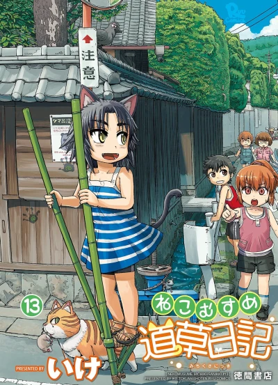 Cover of Vol. 13