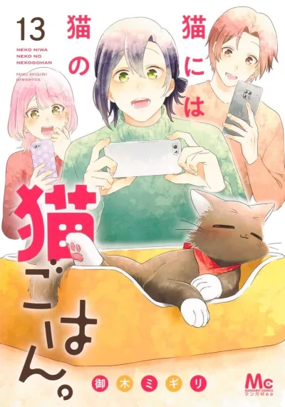 Cover of Vol. 13
