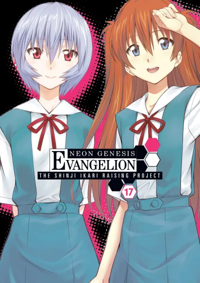 Cover of Volume 17