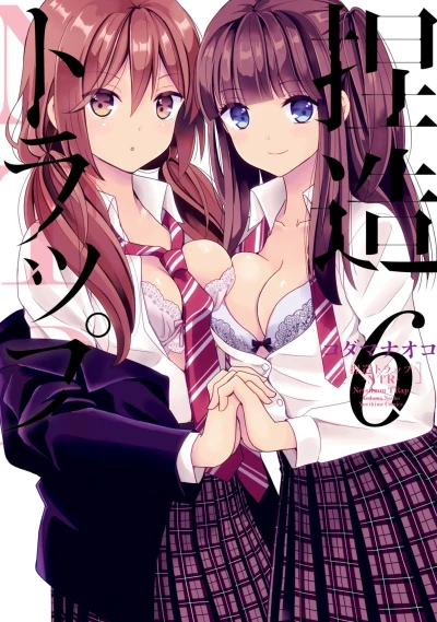 Cover of Vol. 6