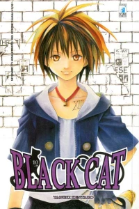 Black cat 10