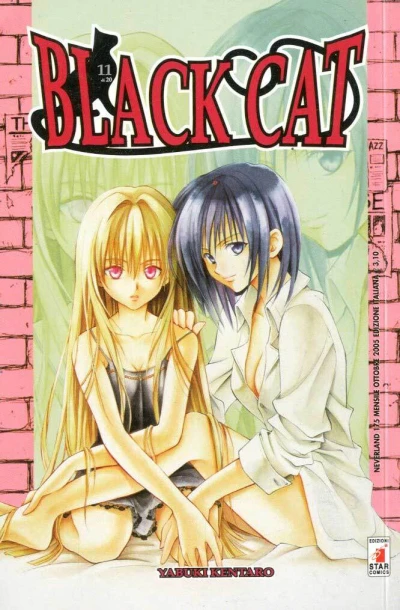 Cover of Black cat 11