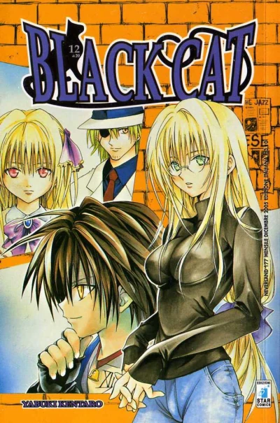 Cover of Black cat 12