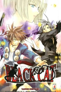 Black cat 19