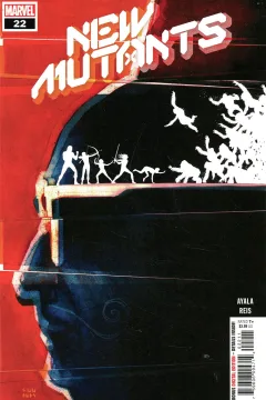 Shadows and Mirrors