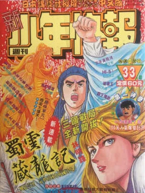 Cover of No. 19, 1993