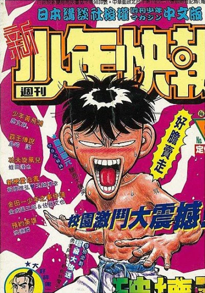 Cover of No. 20, 1993