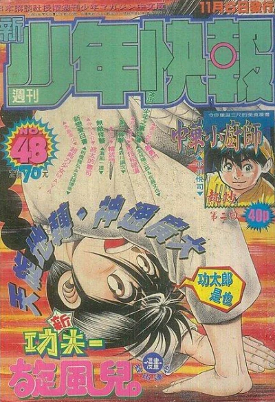 Cover of No. 48, 1995