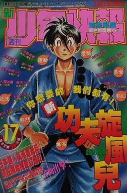 Cover of No. 17, 1998