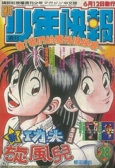 Cover of No. 28, 2000
