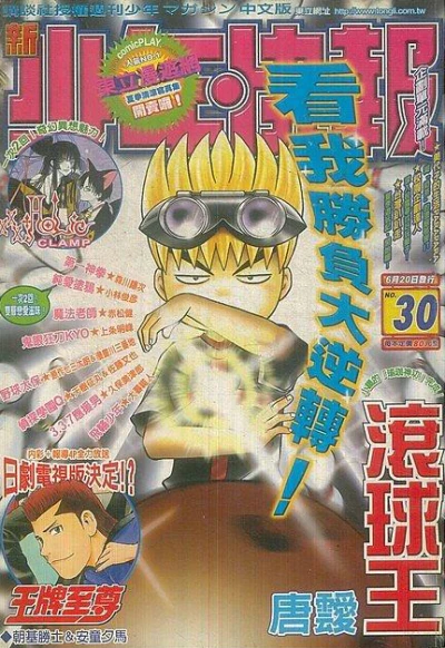 Cover of No. 30, 2003