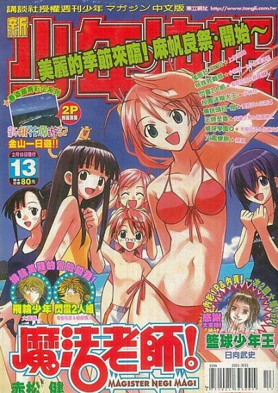 Cover of No. 13, 2005