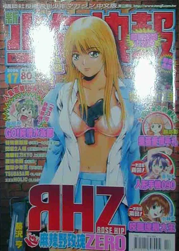 Cover of No. 17, 2006