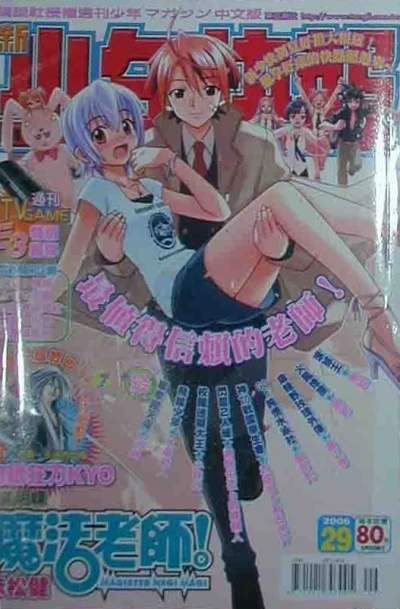 Cover of No. 29, 2006