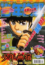 Cover of No. 30, 2007