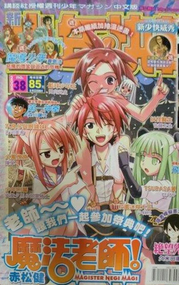 Cover of No. 38, 2008