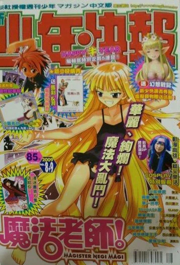 Cover of No. 8-9, 2009