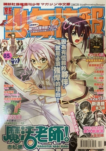 Cover of No. 22, 2009