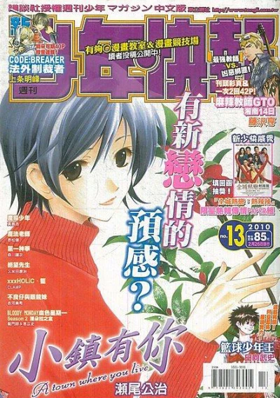 Cover of No. 13, 2010