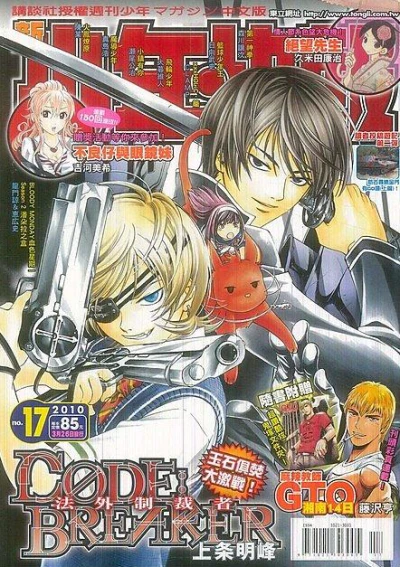 Cover of No. 17, 2010