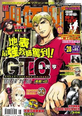 Cover of No. 28, 2010