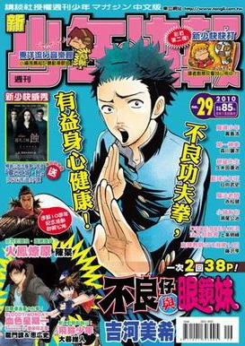 Cover of No. 29, 2010