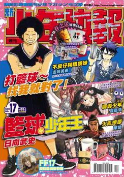 Cover of No. 17, 2011