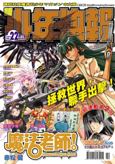 Cover of No. 22, 2011