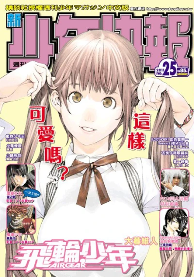 Cover of No. 25, 2011