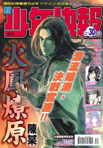 Cover of No. 30, 2011