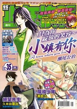 Cover of No. 35, 2011