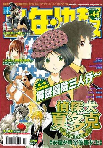 Cover of No. 4-5, 2013