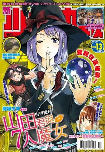 Cover of No. 13, 2013