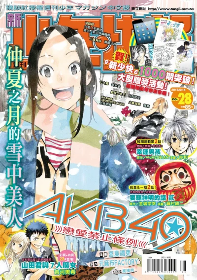 Cover of No. 28, 2013