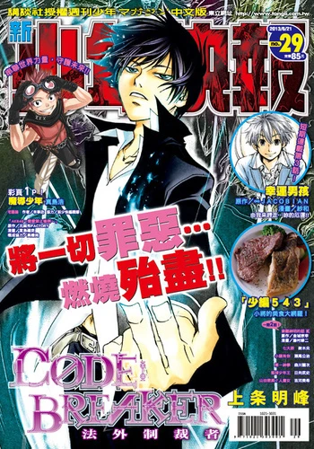 Cover of No. 29, 2013