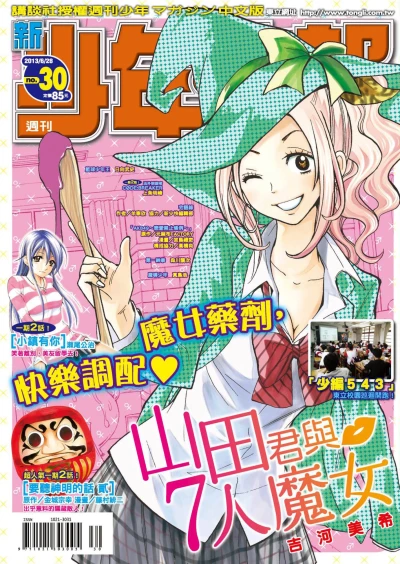 Cover of No. 30, 2013
