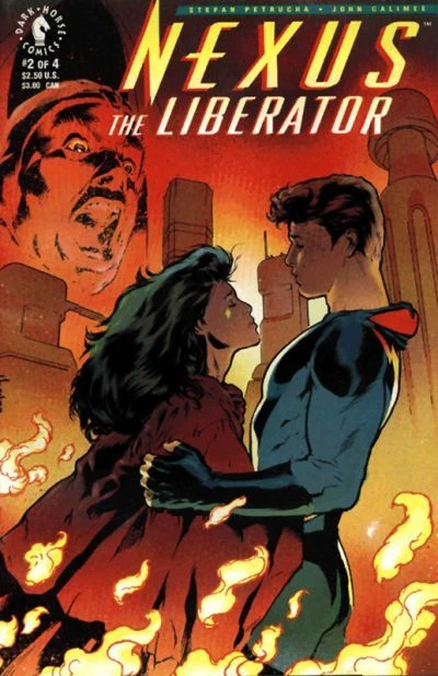 Cover of After the Fall