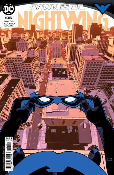 Cover of You Are Nightwing