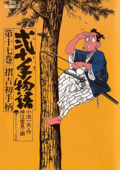 Cover of Vol. 17